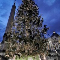 Vaticano: el regalo del belén de Friuli, el árbol de un pueblo de los Abruzos