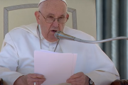 Papa Francisco dice: “El celo apostólico es el valor de levantarse cuando se cae”